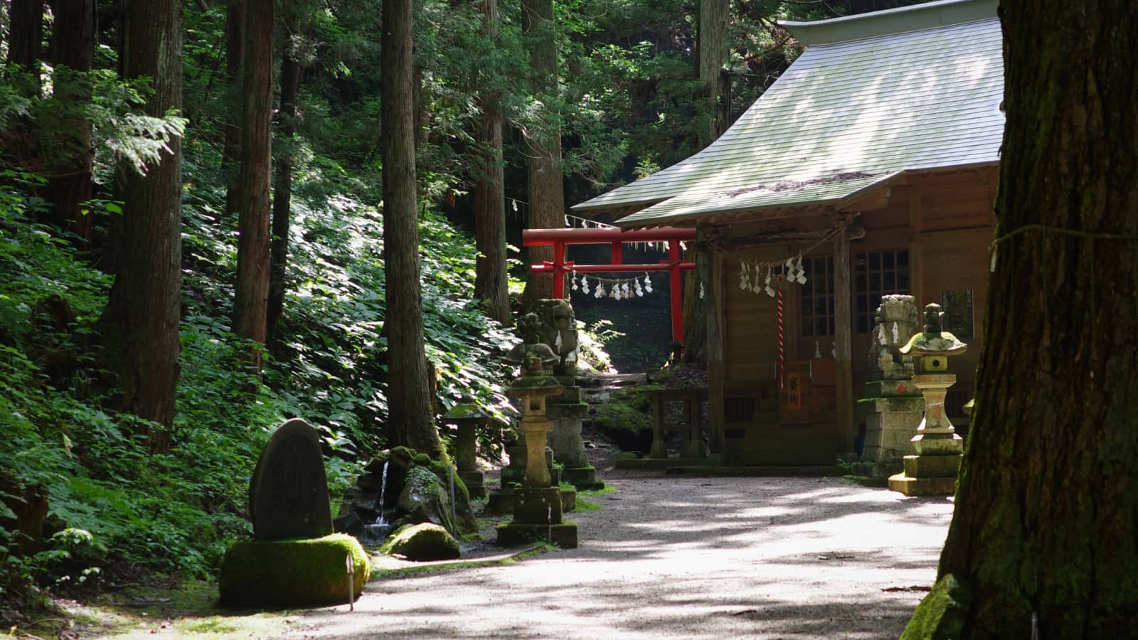 木漏れ日の差す森の中の水神社。社殿と赤い鳥居、石灯籠、石碑が並んでいる