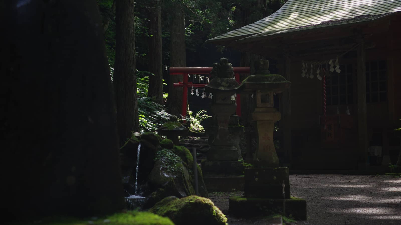深い森の中に建つ水神社の社殿。奥に赤い鳥居、手前には湧き出た水が流れている